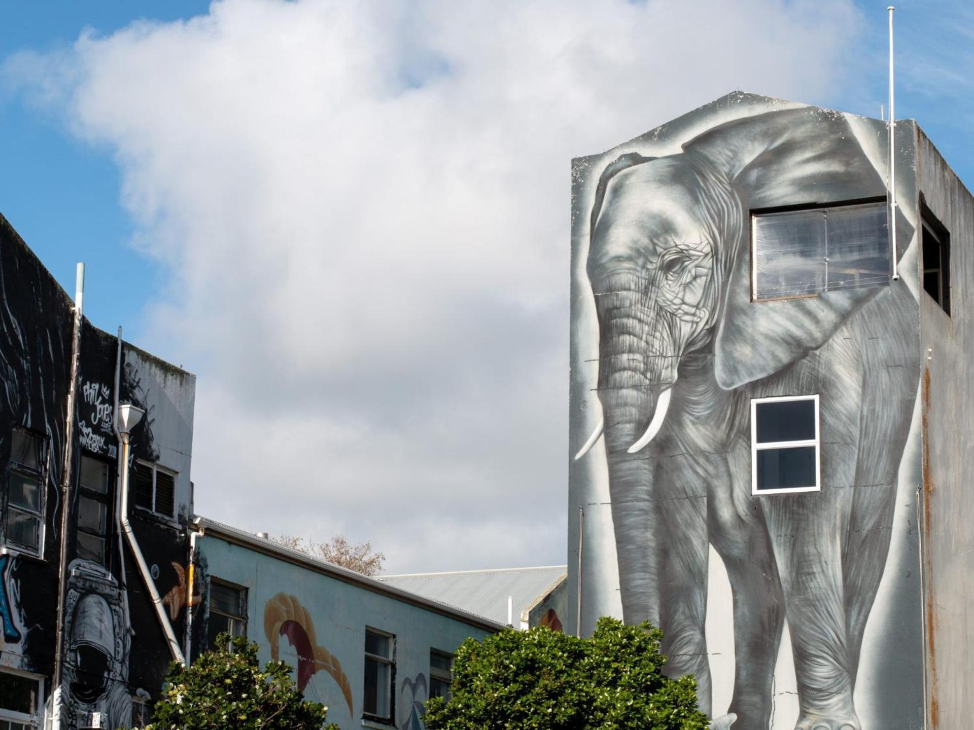 Stay Central The Loft New Plymouth Ngoại thất bức ảnh